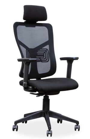 ERGONOMIC CHAIR