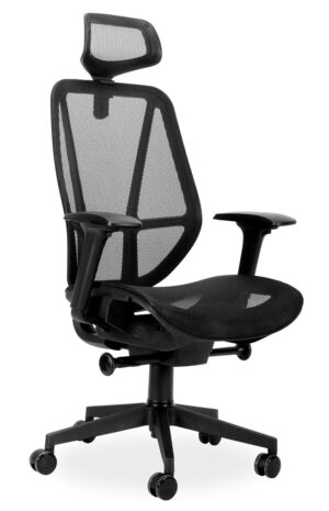 ERGONOMIC CHAIR