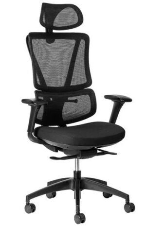 ERGONOMIC CHAIR