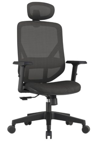 ERGONOMIC CHAIR