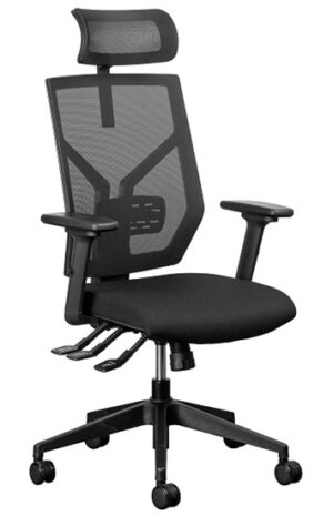 ERGONOMIC CHAIR
