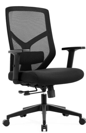ERGONOMIC CHAIR