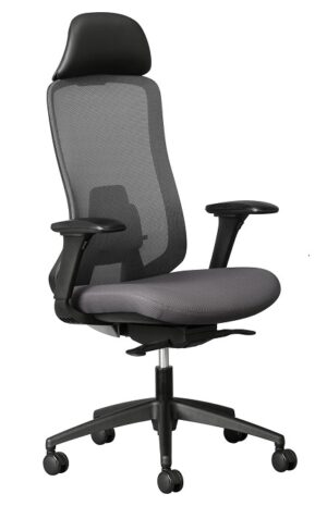 ERGONOMIC CHAIR
