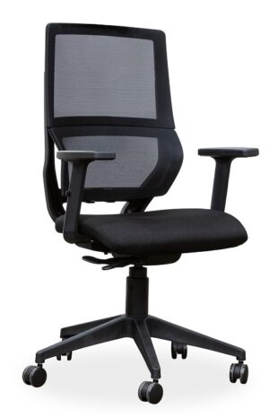ERGONOMIC CHAIR